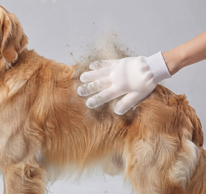 Wipe head to tail
