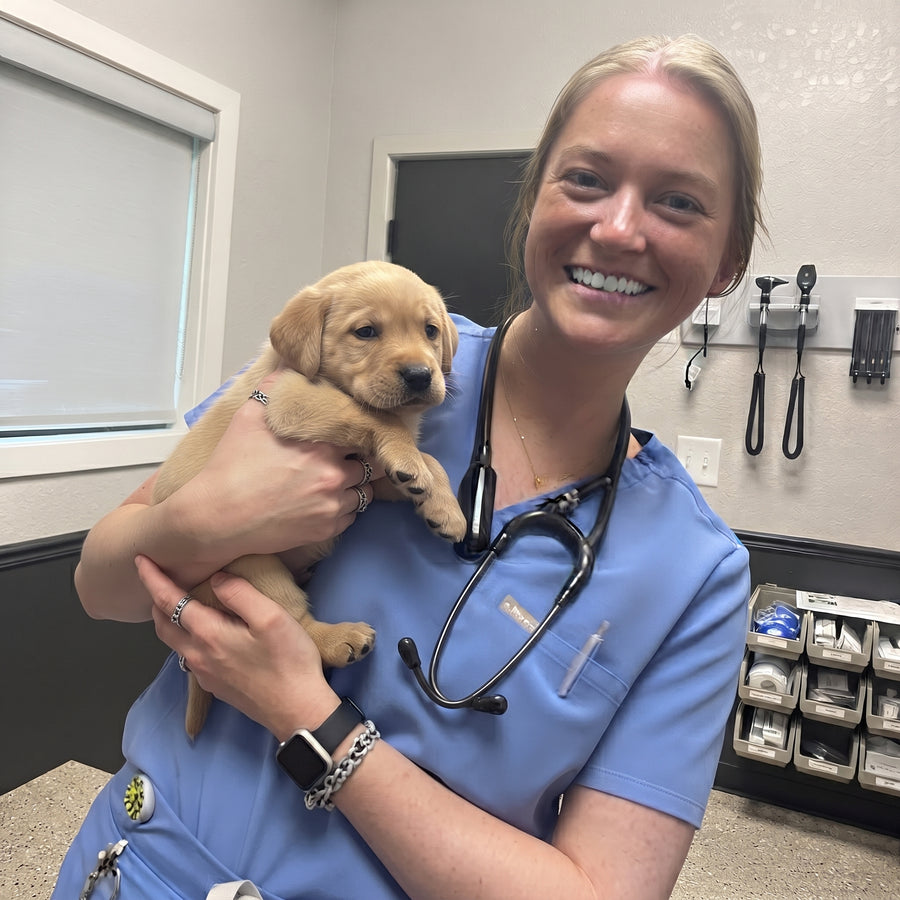 Dr. Elena Voss, DVM